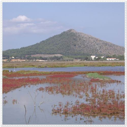 Albufera_ (4).jpg